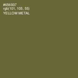 #656937 - Yellow Metal Color Image
